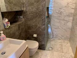 The Peak @ Cairnhill II (D9), Apartment #504162491